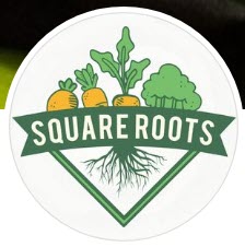 Square Roots Halifax South | Halifax NS