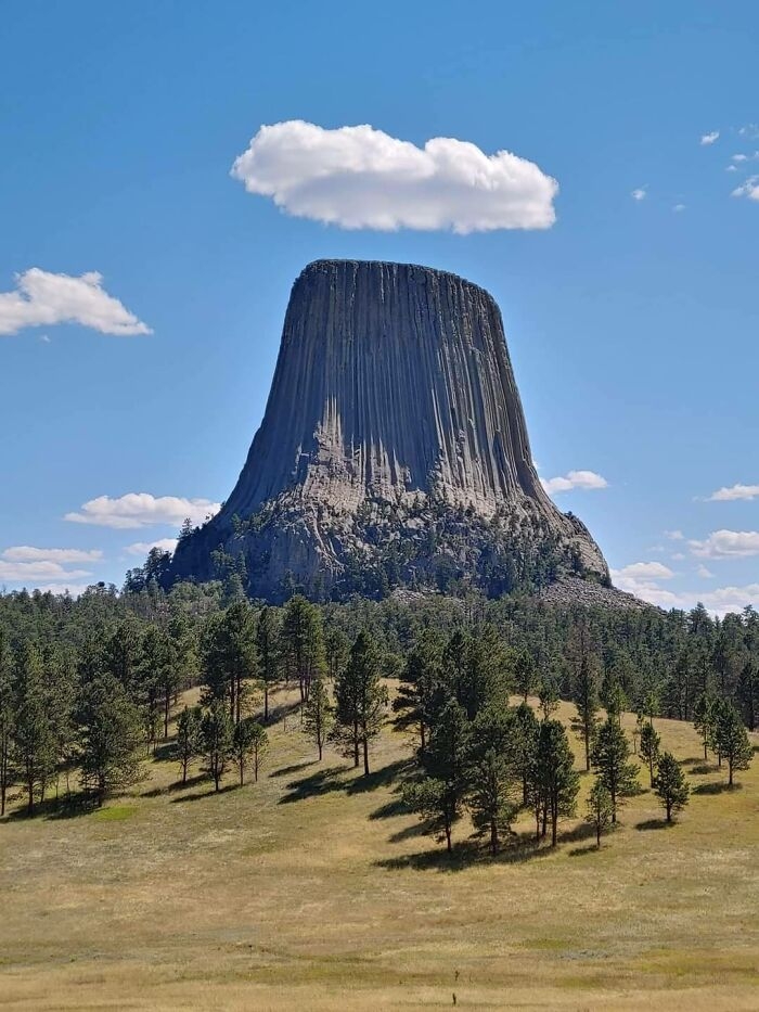 I could use some help from the experts! 🙏 | Facebook
