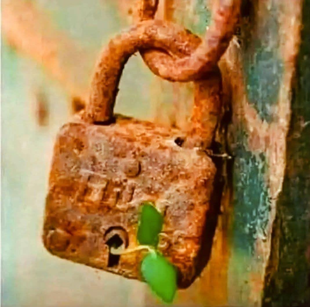 আমরা ন্যায়ের পথে