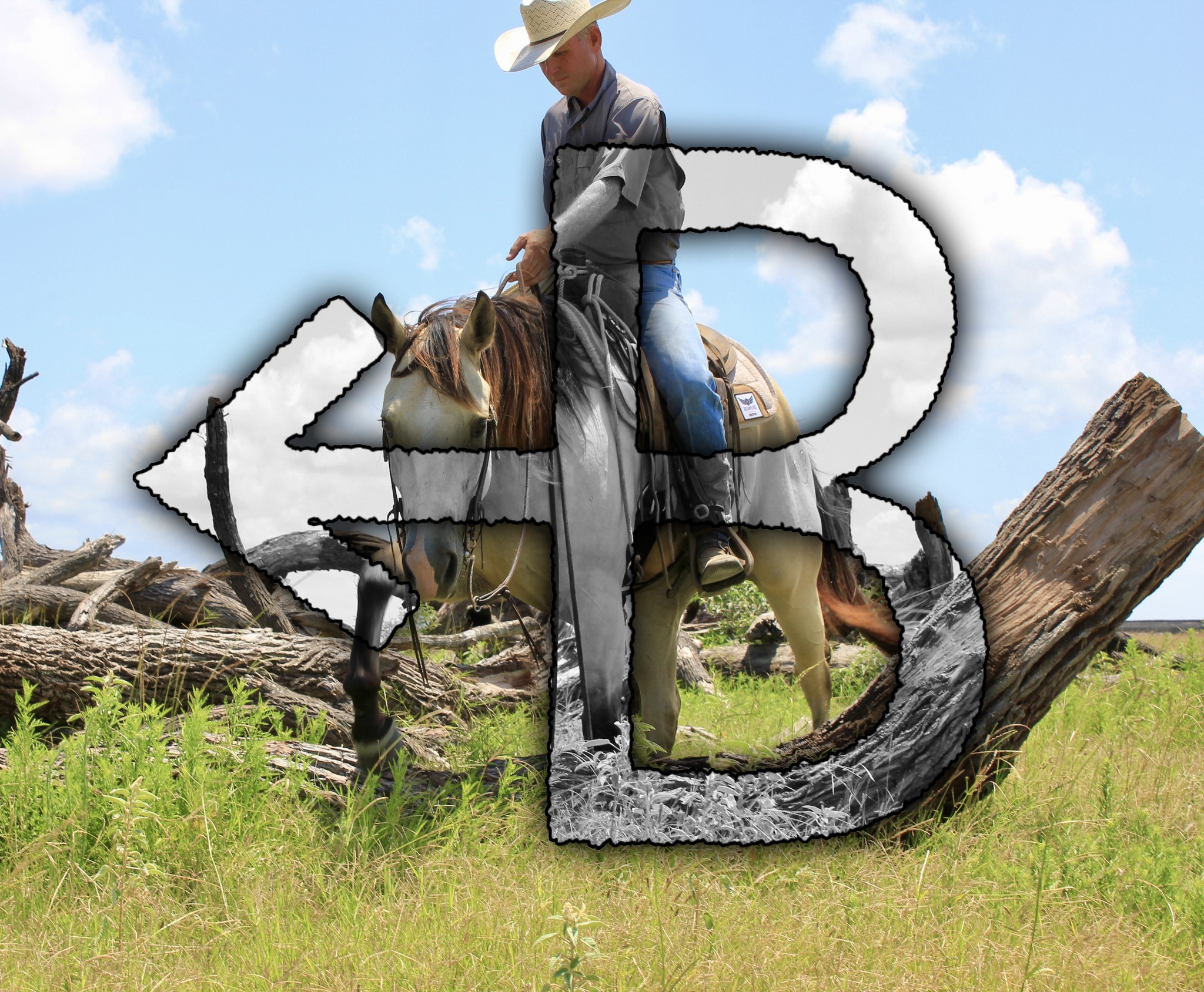 Arrow B Ranch & Performance Horses | La Ward TX