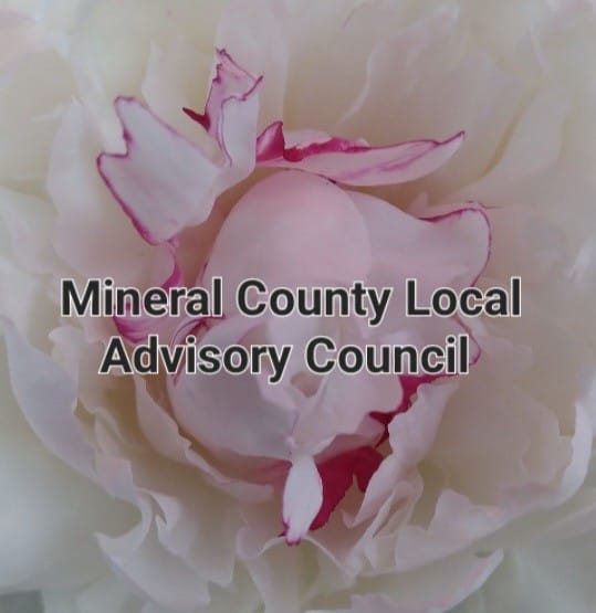 Mineral County Local Advisory Council