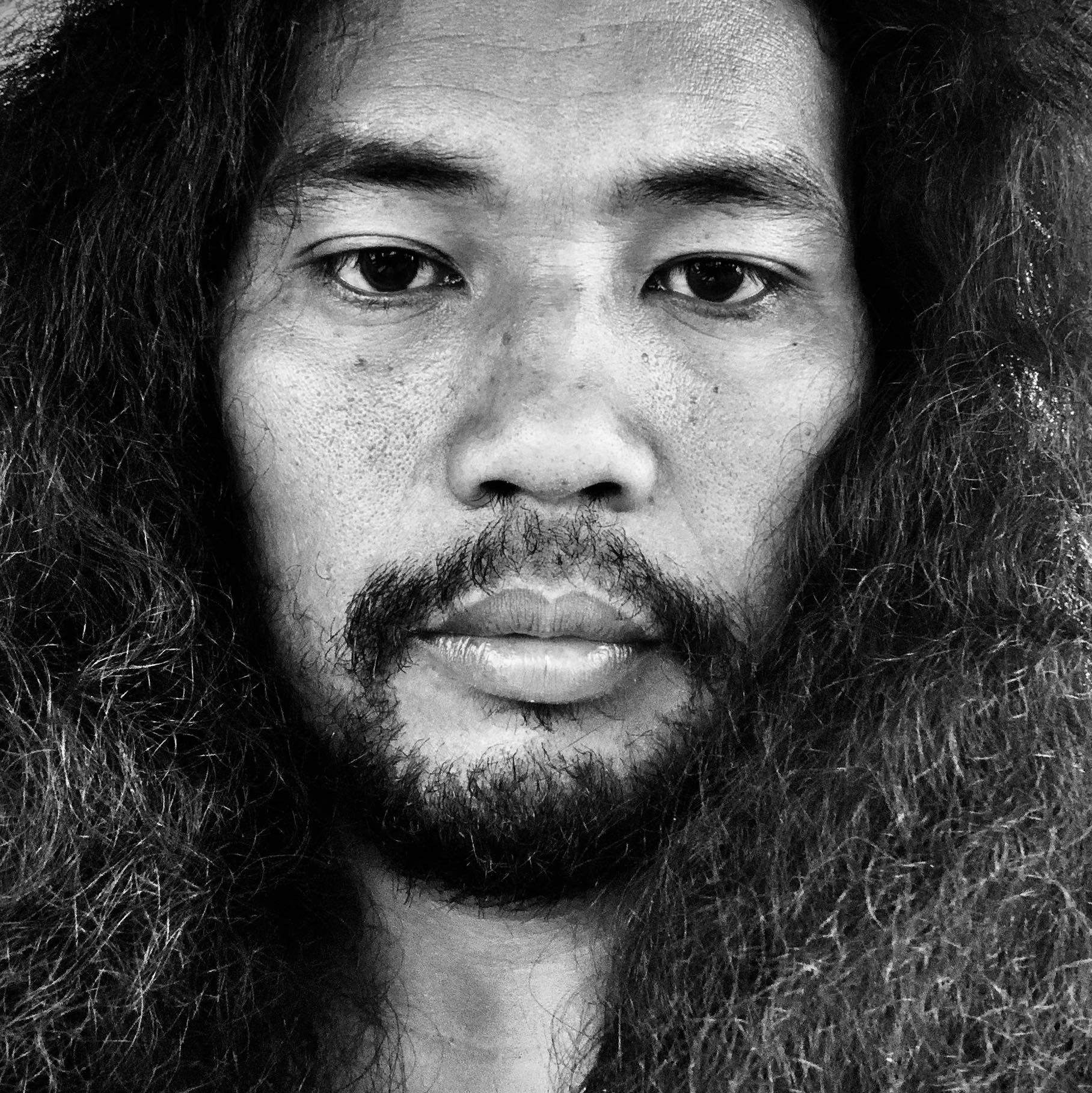 Nabunturan Native Tree Enthusiasts | MALABAYABAS, Tristaniopsis ...