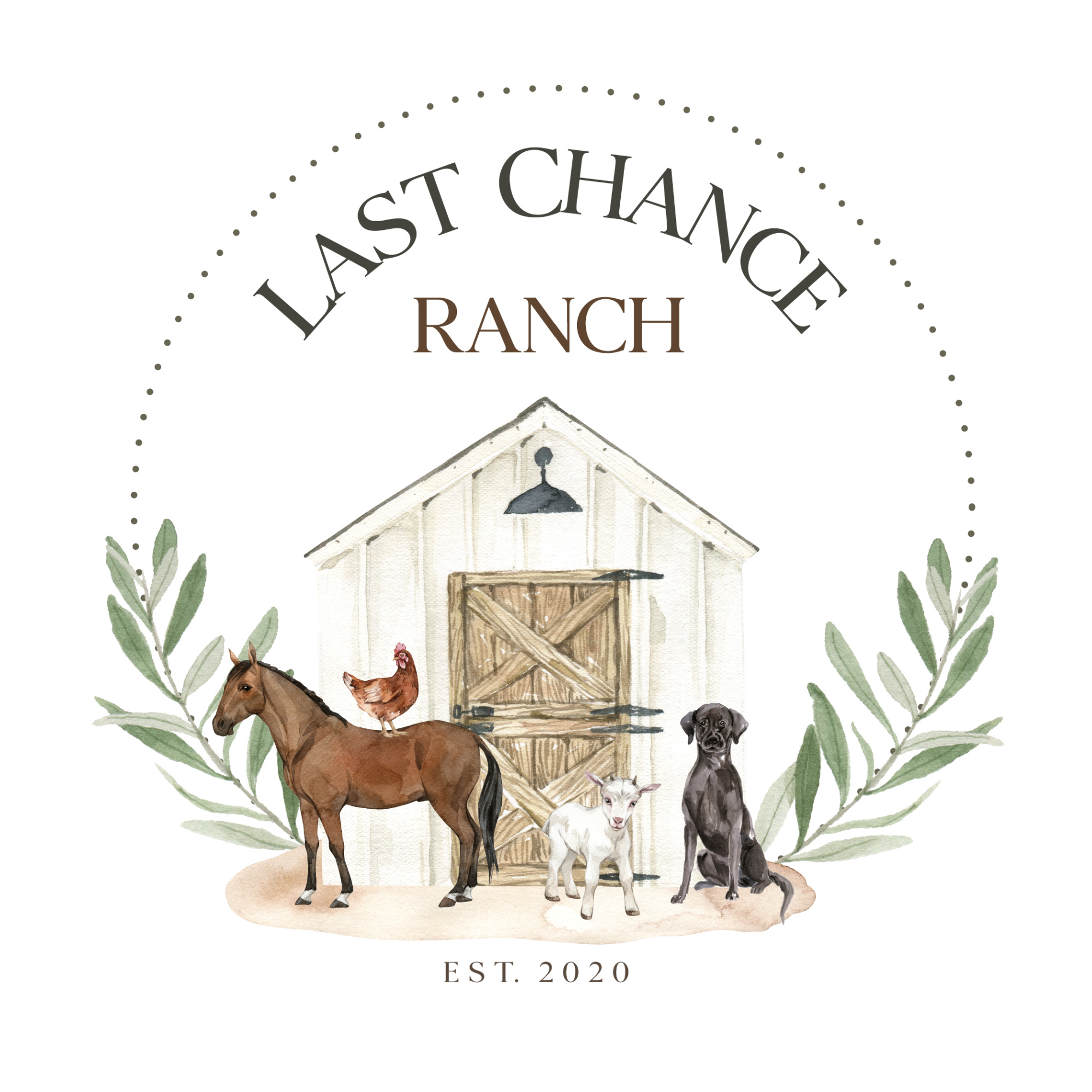 Just another normal day at Last Chance Ranch 🐐😂 When a baby goat ...
