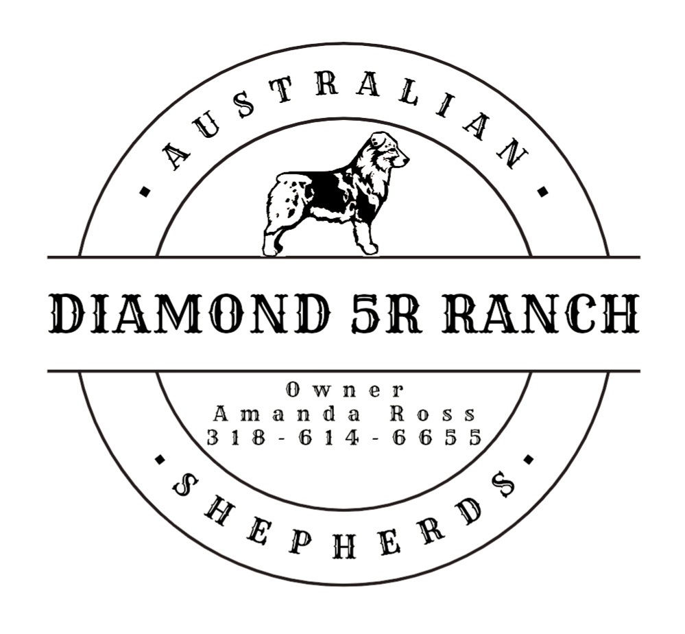 Diamond 5R Ranch Australian Shepherds
