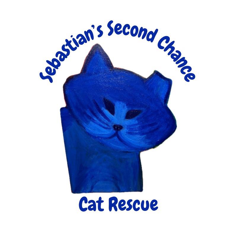 Sebastian's Second Chance Cat Rescue | South Congaree SC