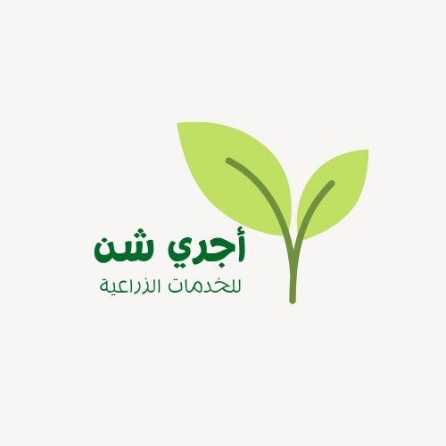 Ajri shann | Sanaa