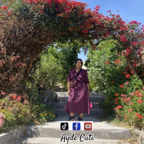 Ayde Cuti