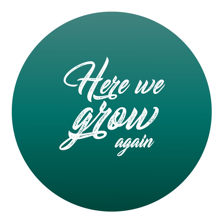 Here we Grow Again | Sauchen