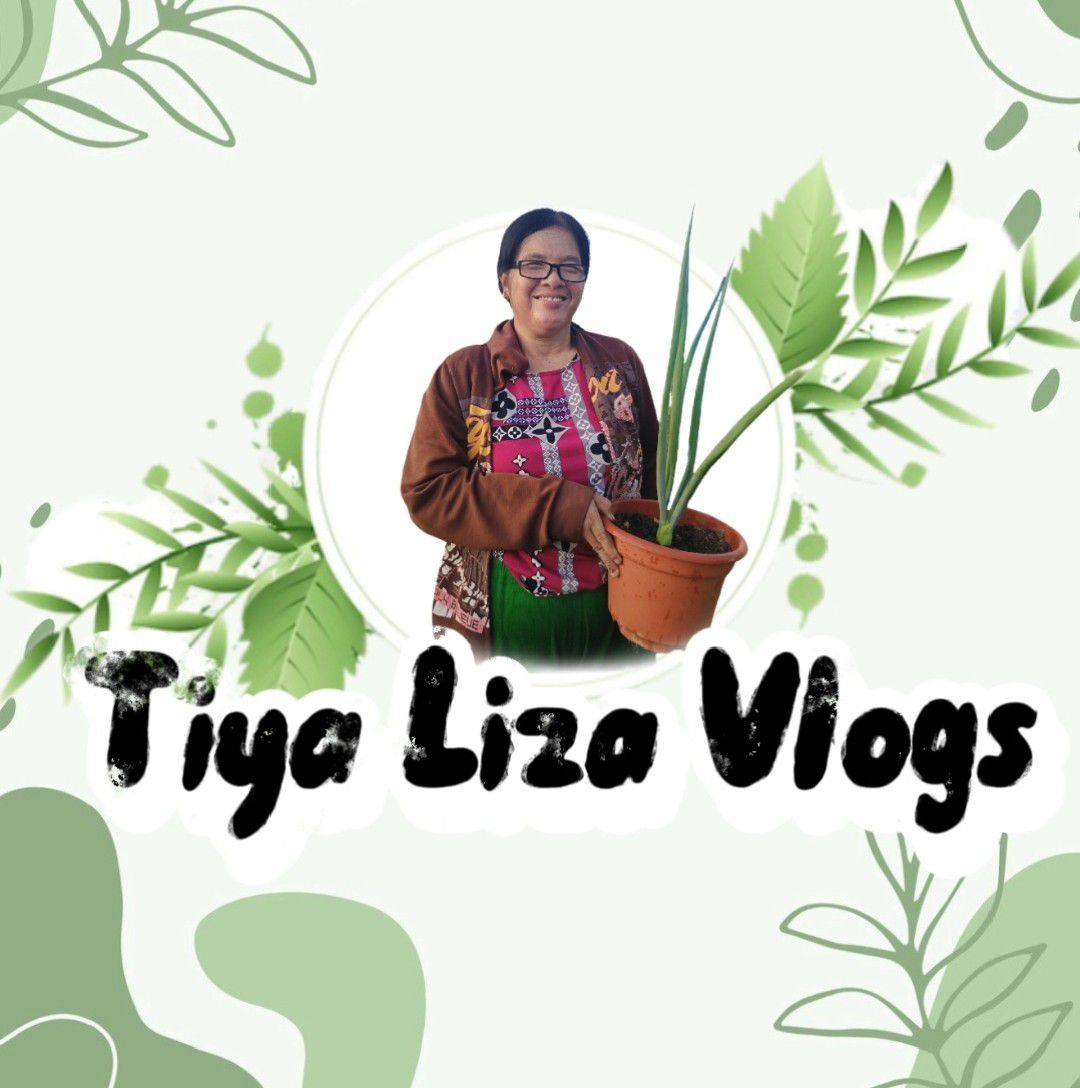 Good tuesday morning Higop binisaya | Jason Mañago Gontiñas