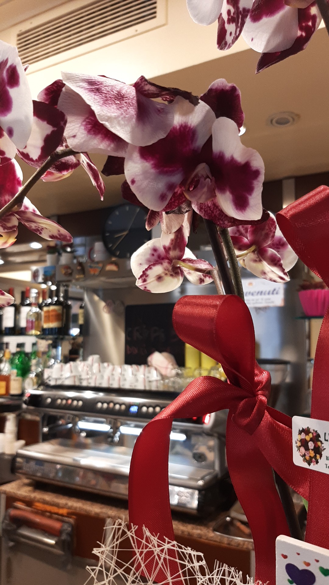 Bar Gelateria La Rocca