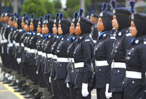 Trim & Fit PDRM