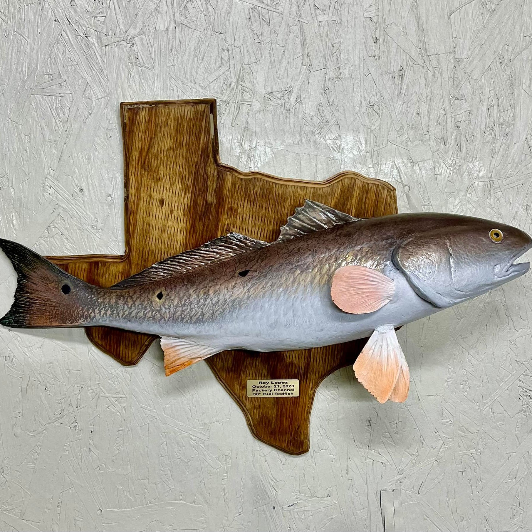 Trophy FIsh Replicas | San Diego TX