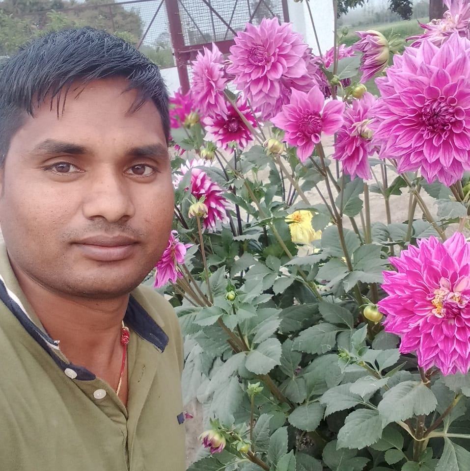 Amit garden care | Rampur