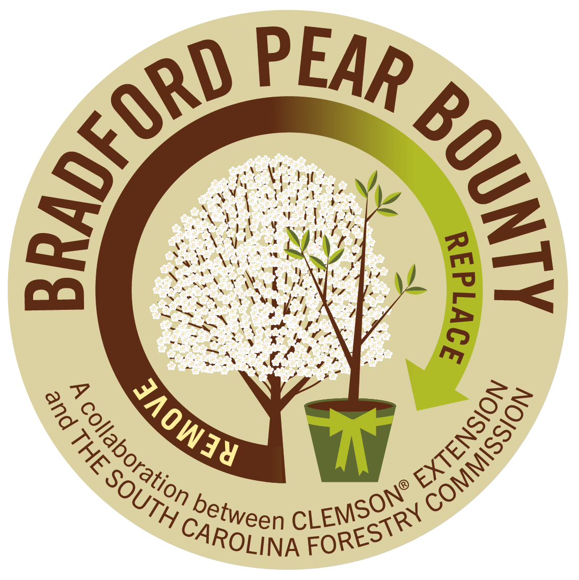 Clemson Bradford Pear Bounty Program