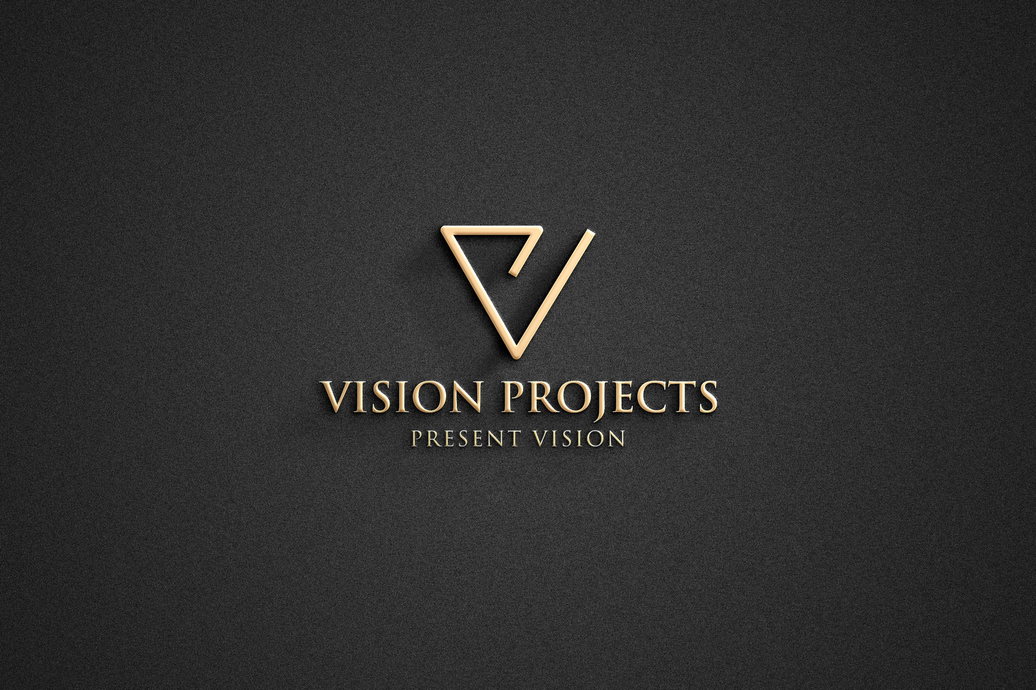 Vision Projects