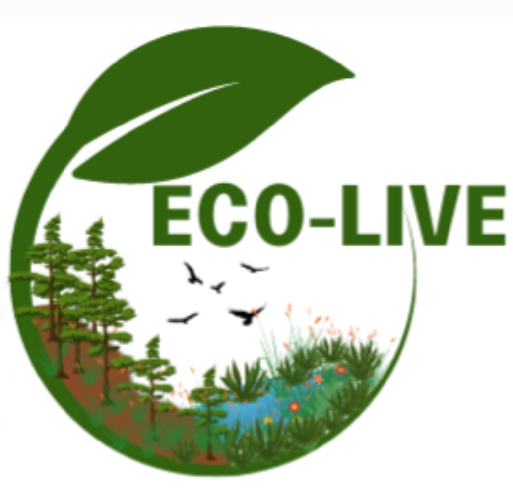 EcoLive 254 | Kwale