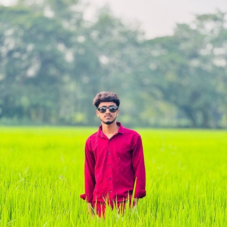 Robikul IsIam Rohan