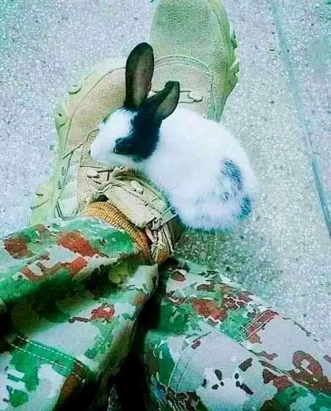 😂آجا تو وی آجا 🤣چل نی کبریٰ 😁🙈 | بتاؤ کوجیوں 🫣🥰 | Facebook