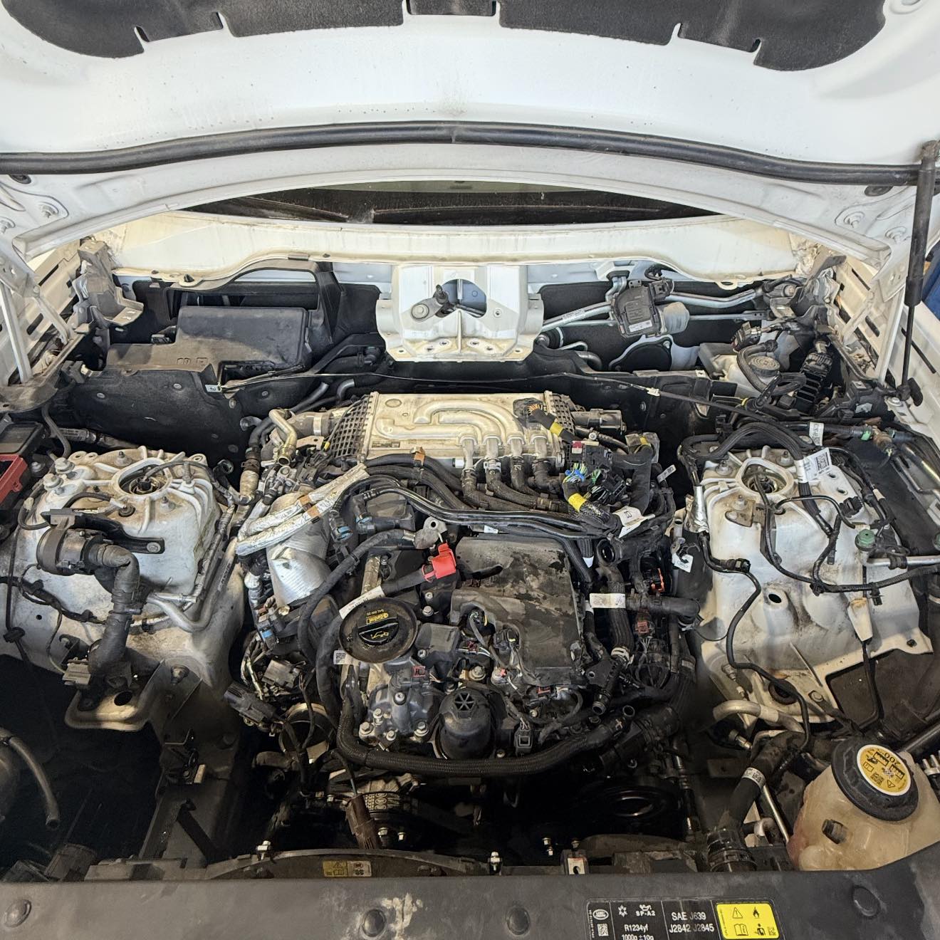 LB7 Nation | What could cause this | Facebook