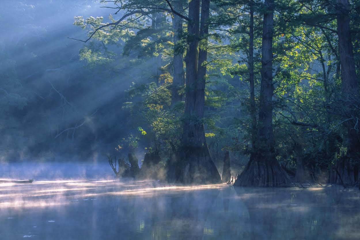 Bet you didn’t know that Mary... - Hatchie River Conservancy | Facebook