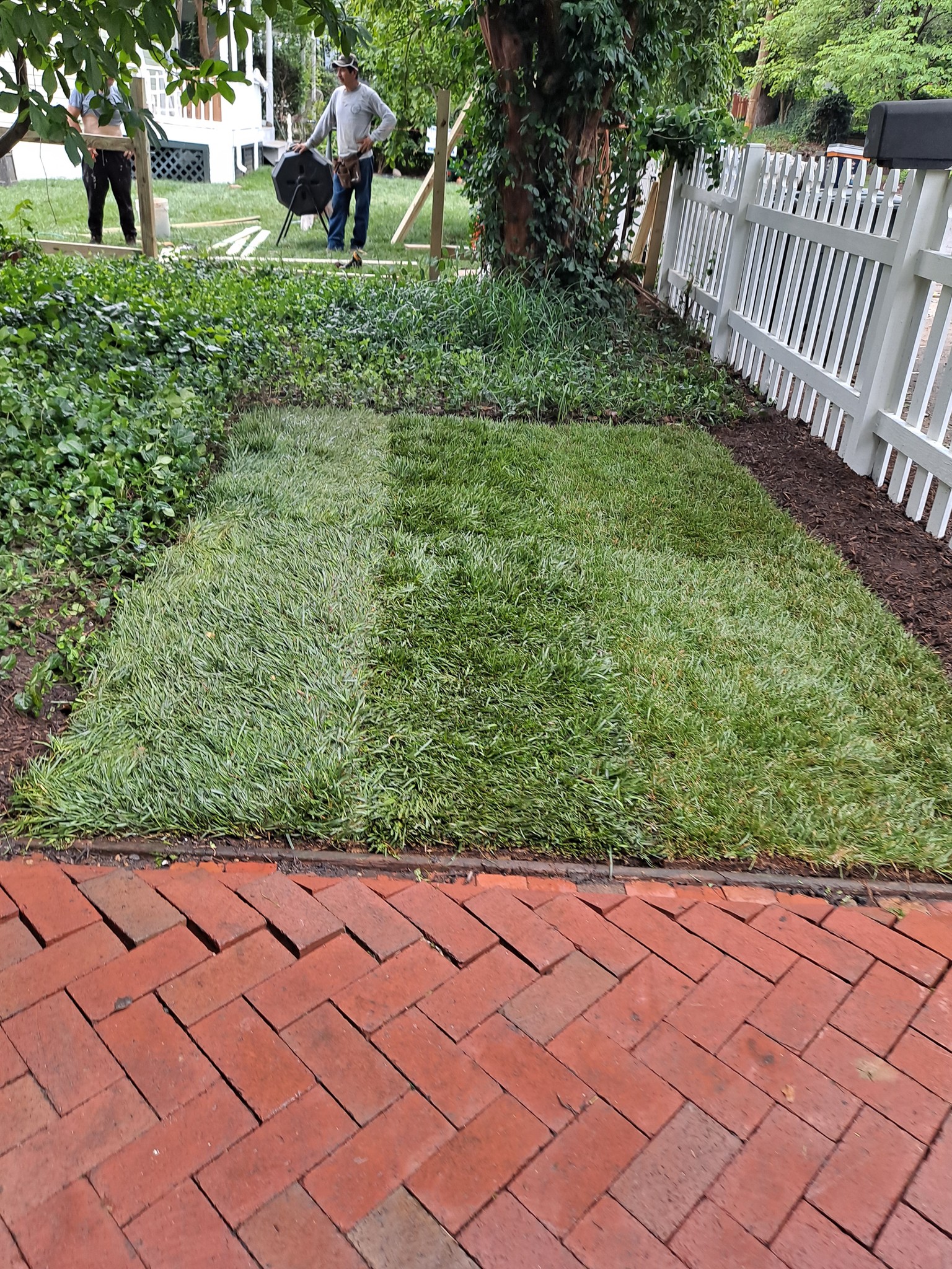Just garden & lawn | Silver Spring MD