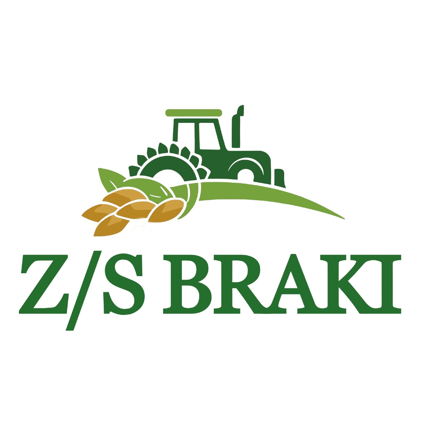 Z/S BRAKI | Saldus