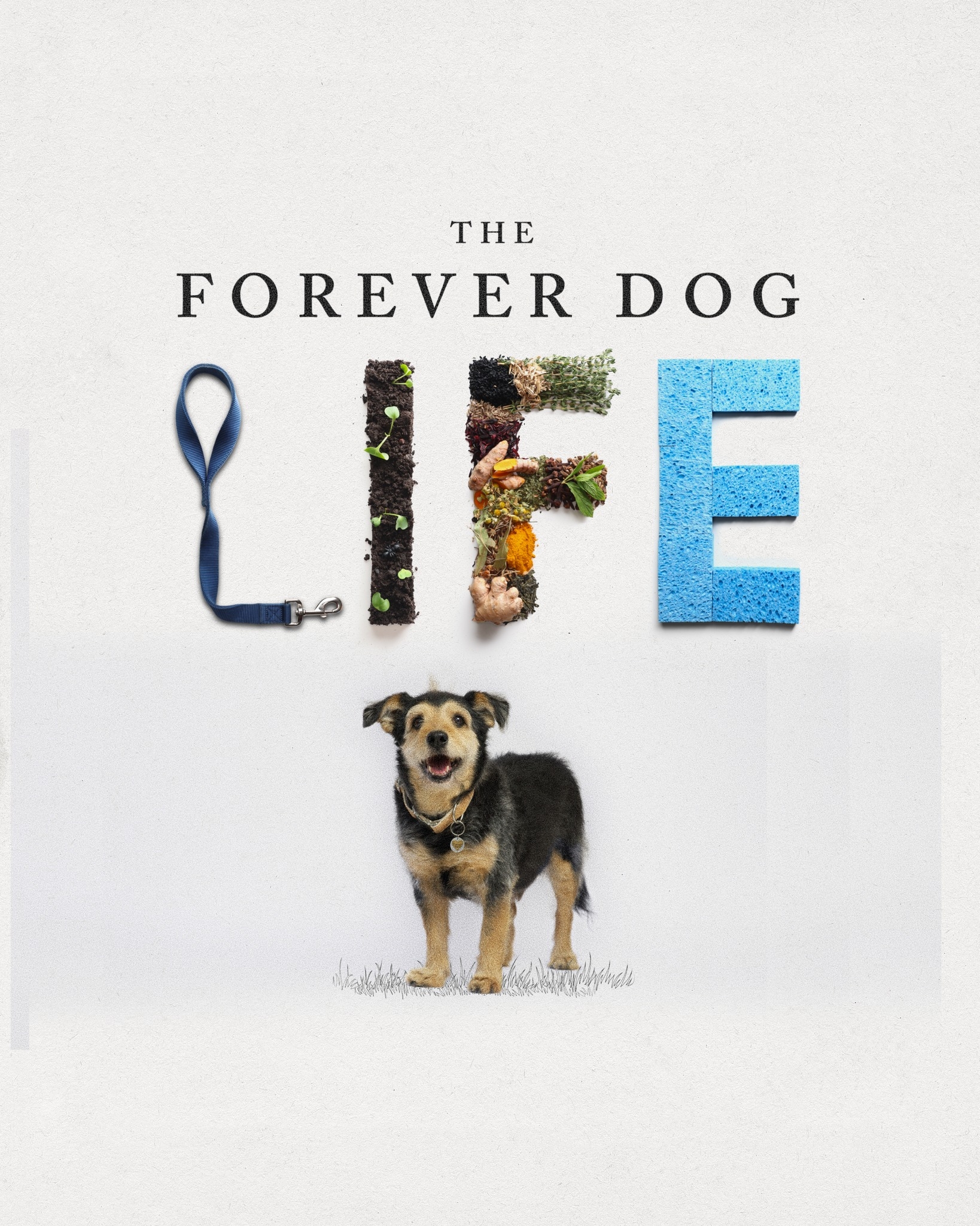 The Forever Dog LIFE (@ForeverDogLife) • Facebook