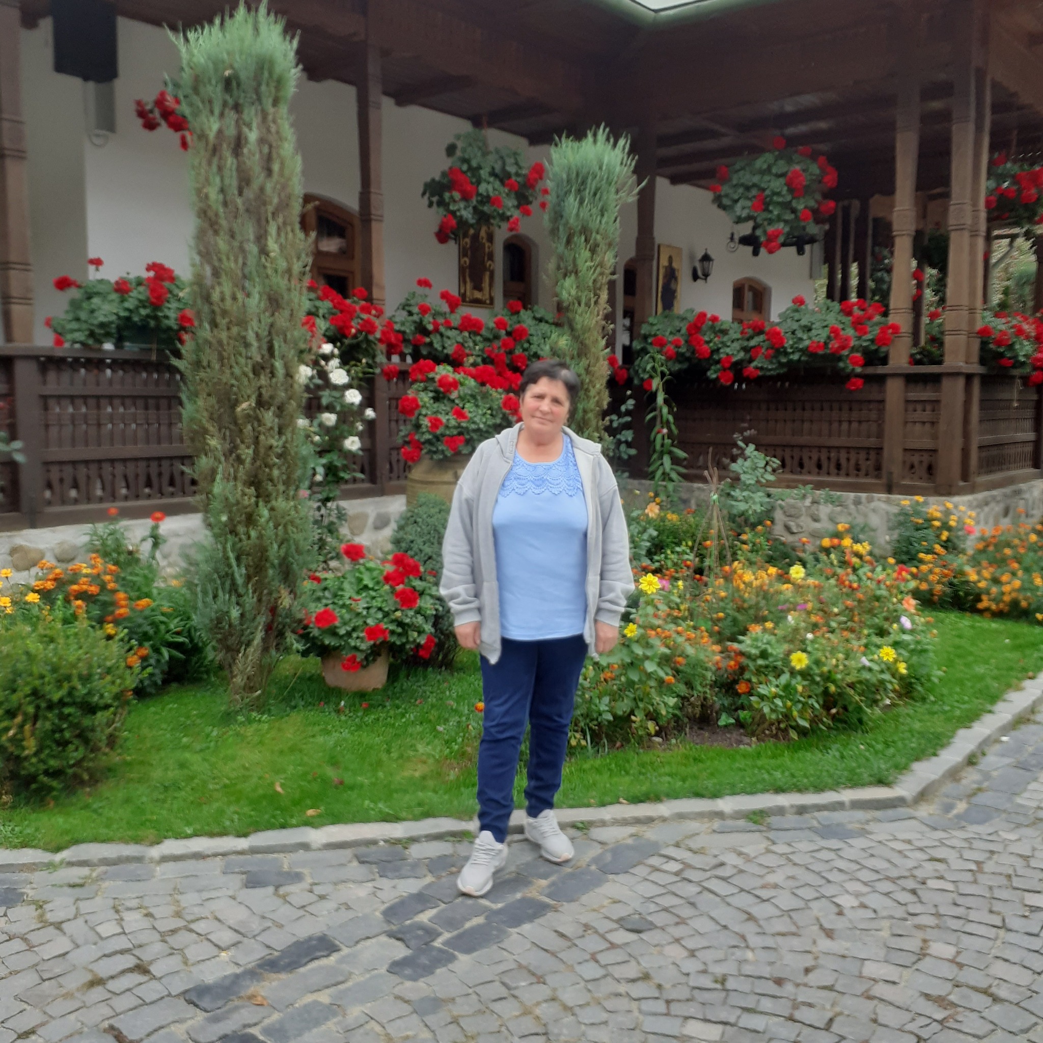 Vând casa in Comuna Oprisor,judetul Mehedinti,compusa din 3 camere ...