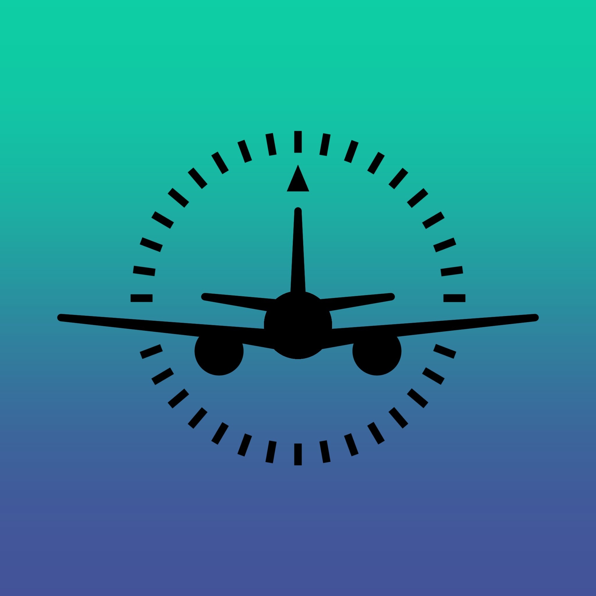 Microsoft Flight Simulator 2024 (Asobo Studio) | The only way this game ...