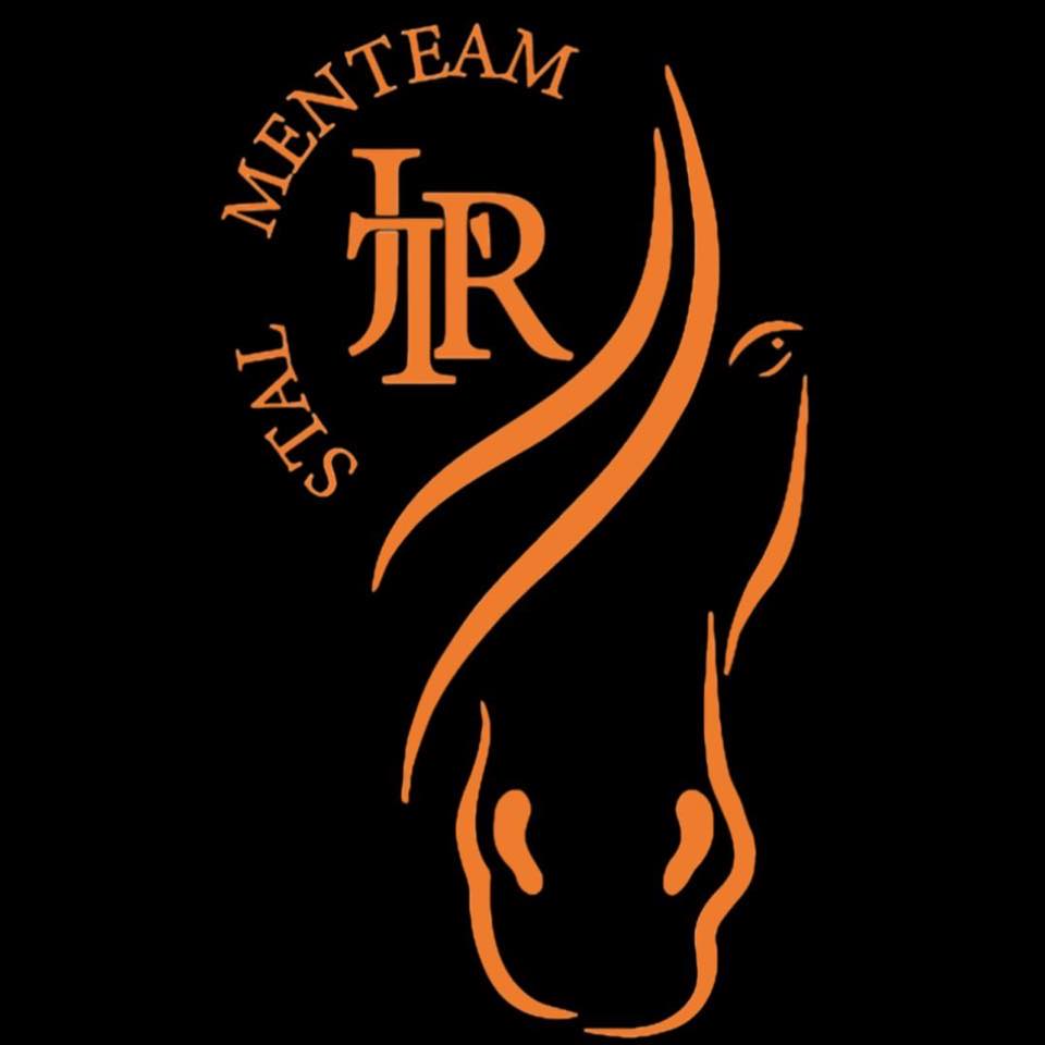 Loebert, onze 3-jarige ruin, heeft gisteren voor het eerst voor de kar ...