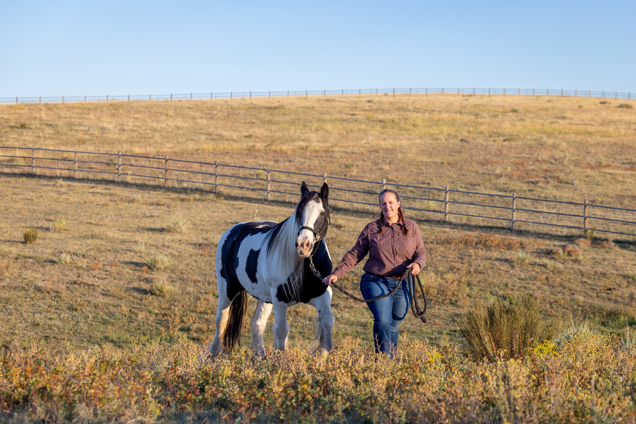 Reach Within Ranch, LLC | Grand Rapids MN