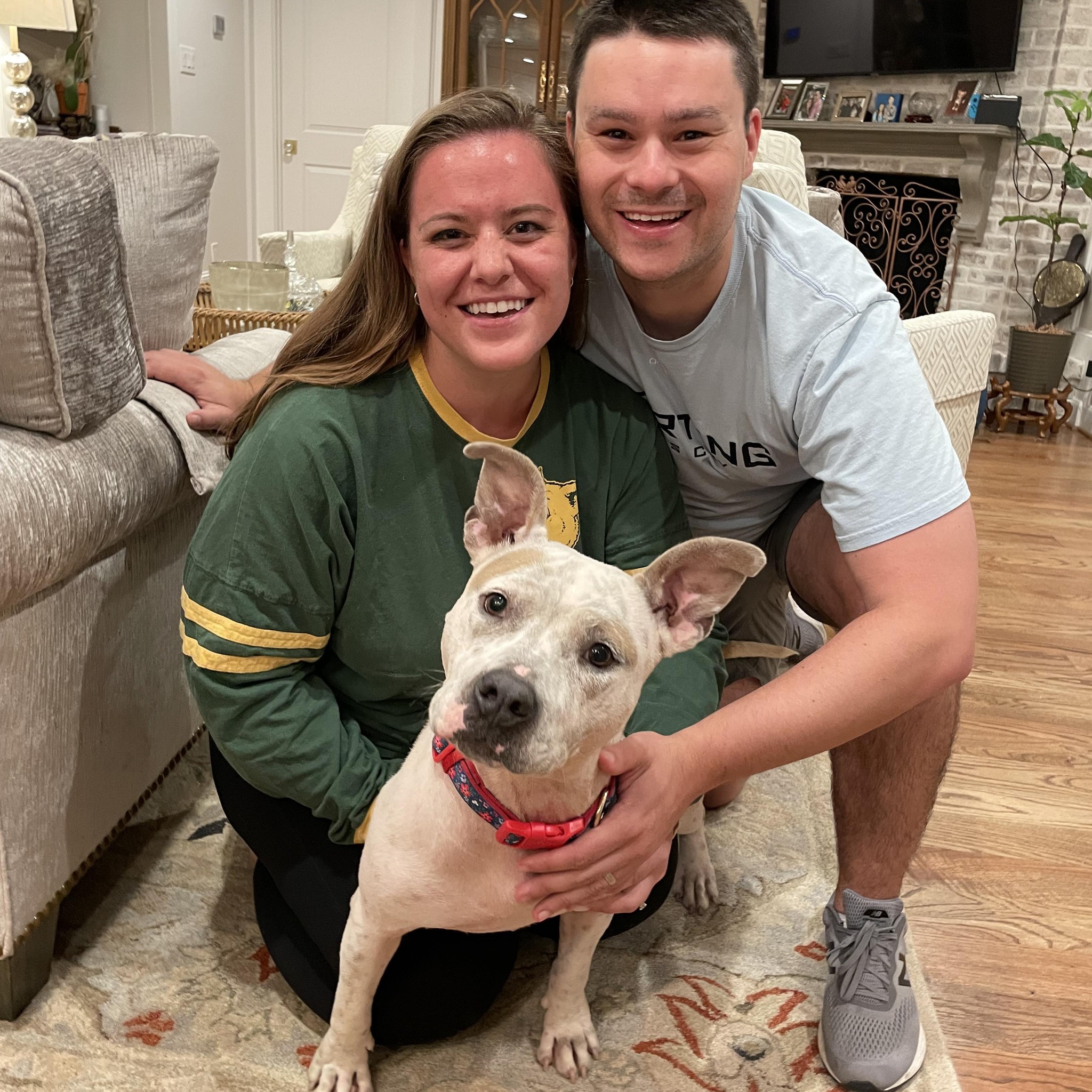 Strong Paws Rescue | Croton-on-Hudson NY