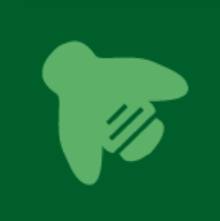 Insects MDPI