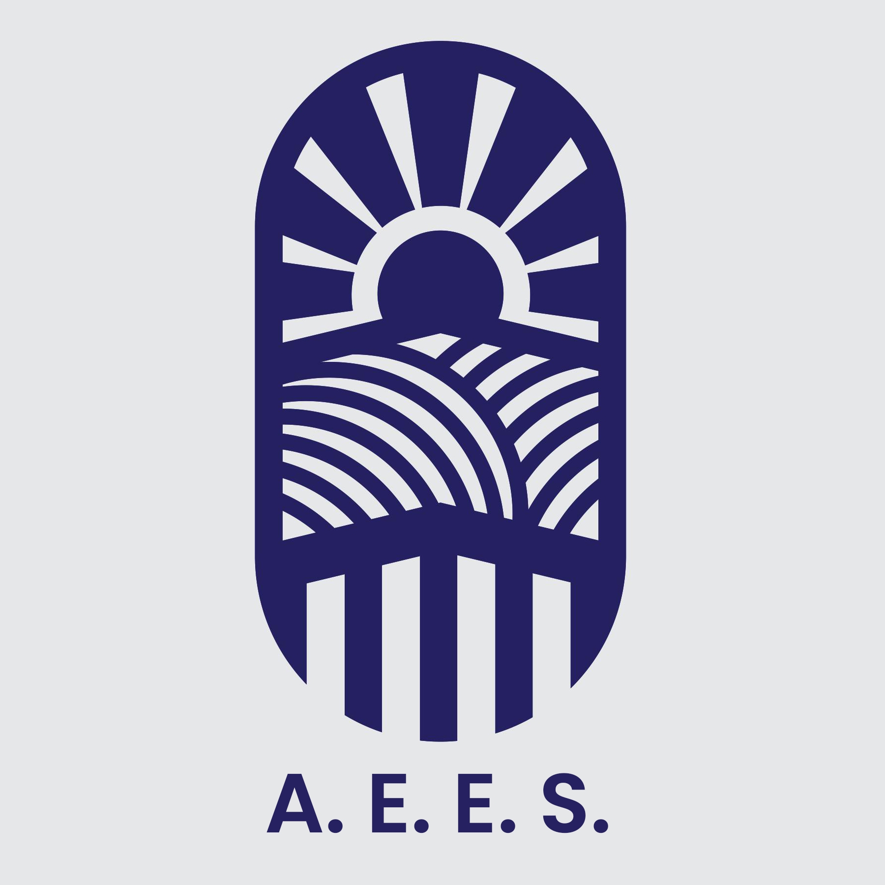 Association of Energy for Environment & Safety - AEES | Quezon City