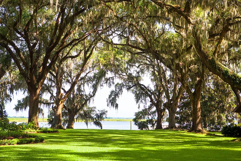 Strathy Hall HOA | Richmond Hill GA
