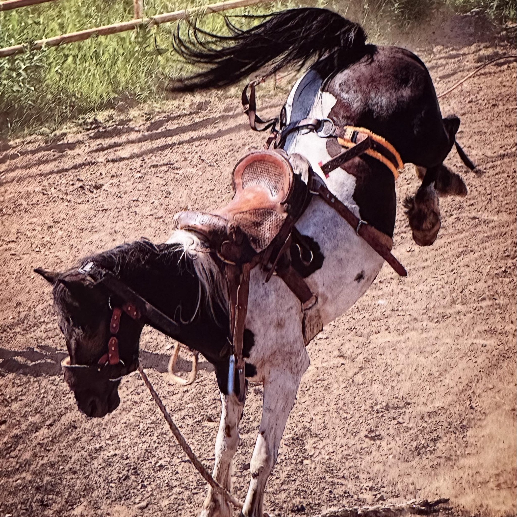 Wahsatnow Rodeo