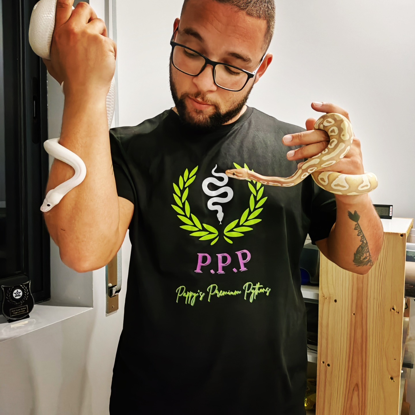 I dont think this is appropriate for a ball python?? | Facebook