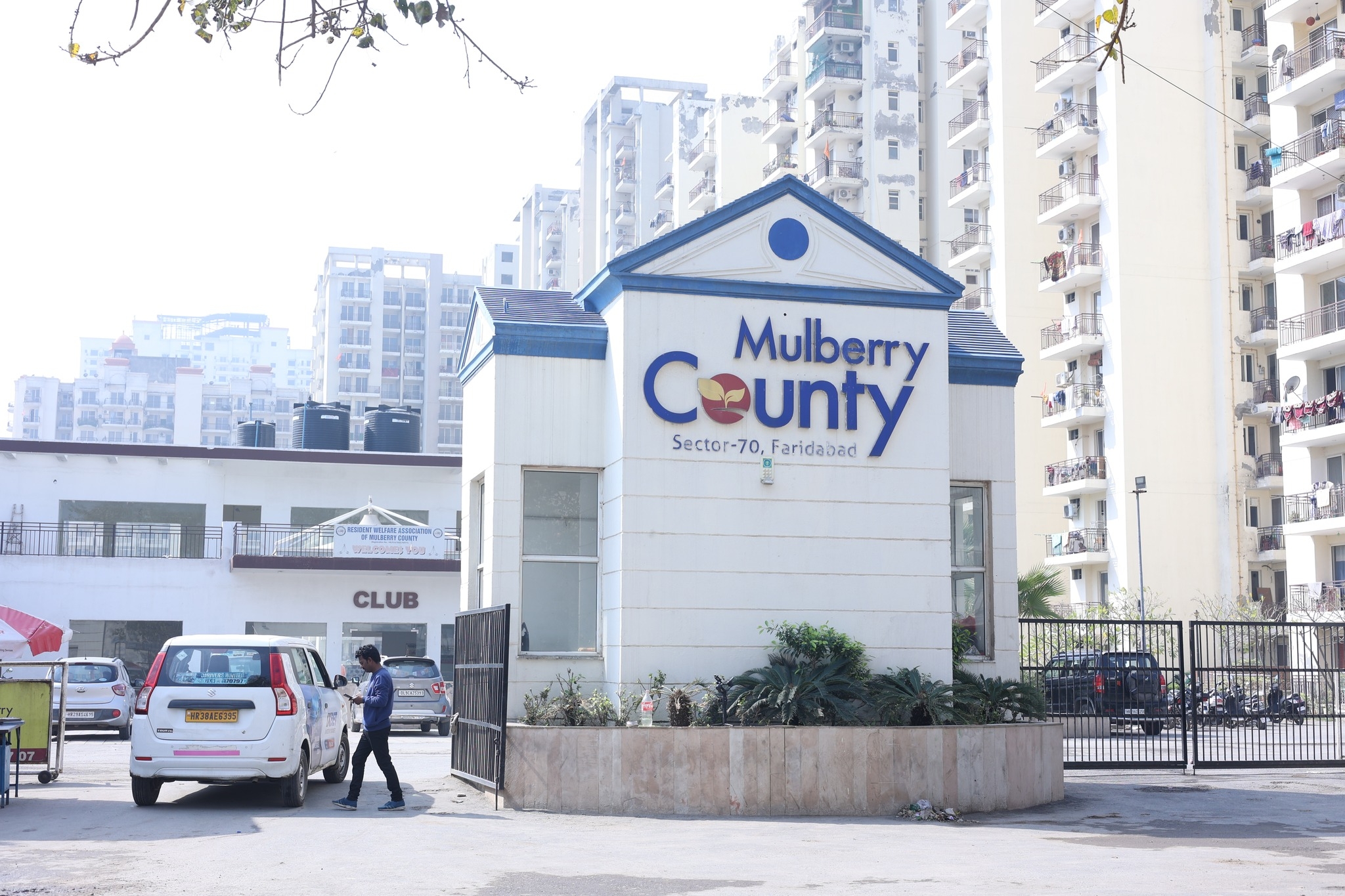 Mulberry County | Faridabad