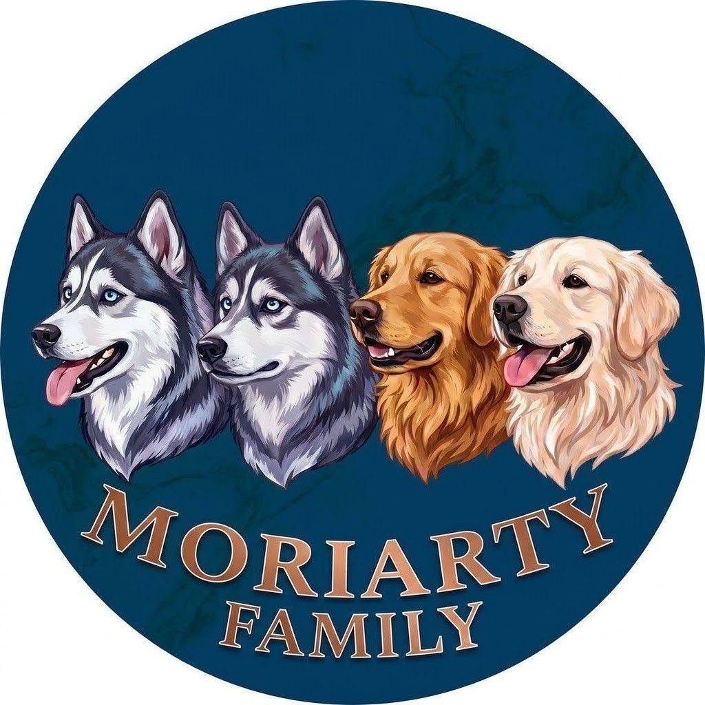 The matching bowls is sending me 😭 ️ #dogs #goldenretriever #husky # ...