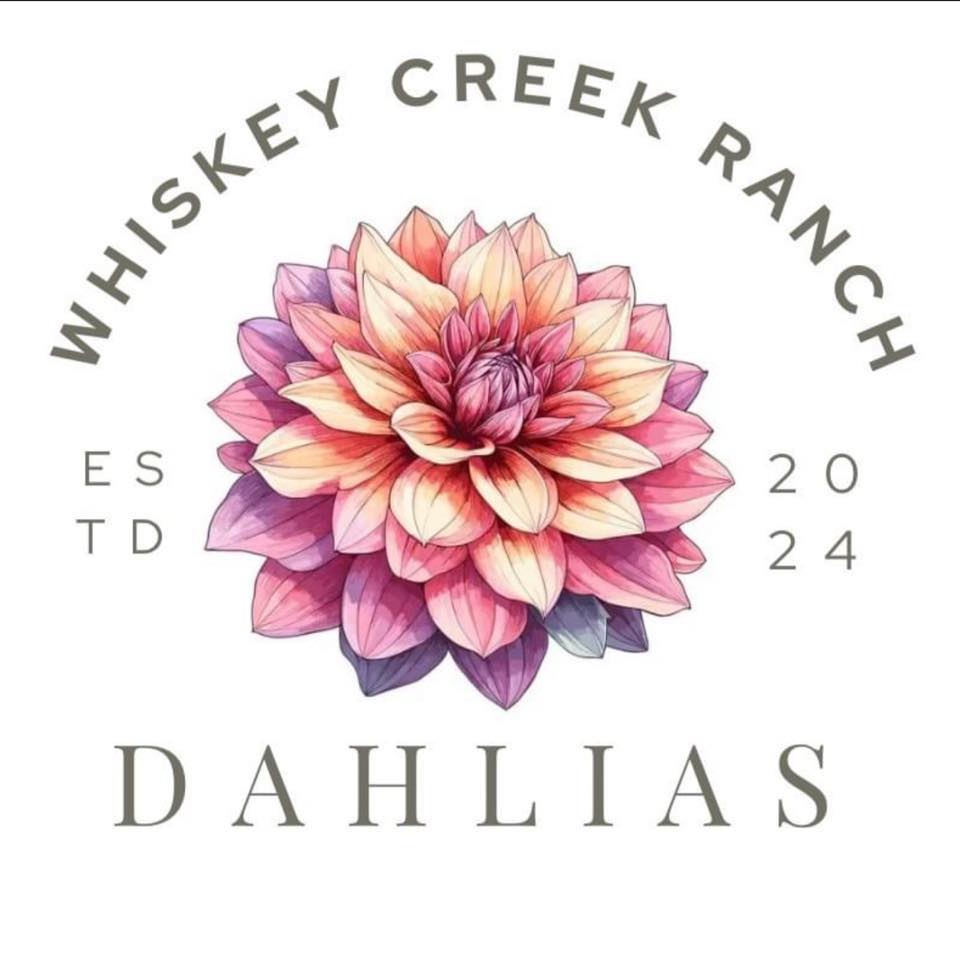 Dahlia Sales | I just got some sad news that the Kelgai Ann tuber I had ...