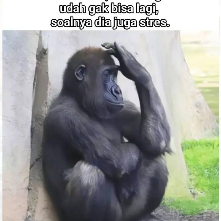 Terhipnotis Keindahan Alam Yang Membuat Hati Tentram dan Ke Unikan ...