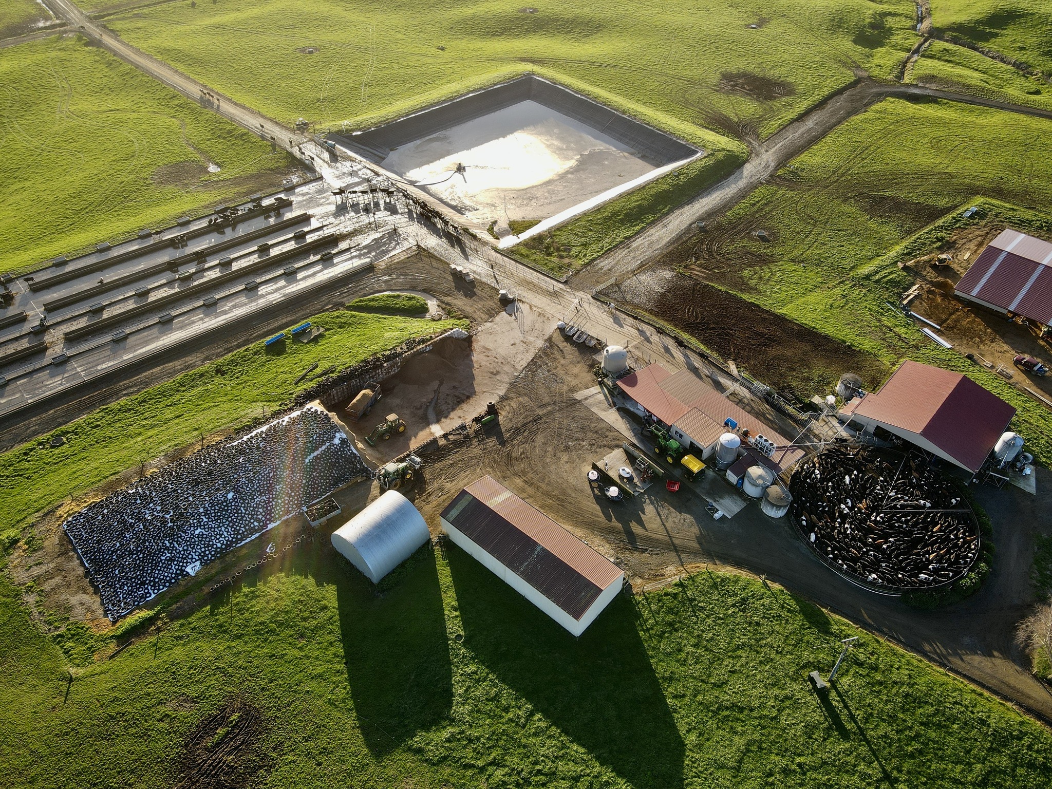 Braystones Ltd Dairy Farm | Te Awamutu