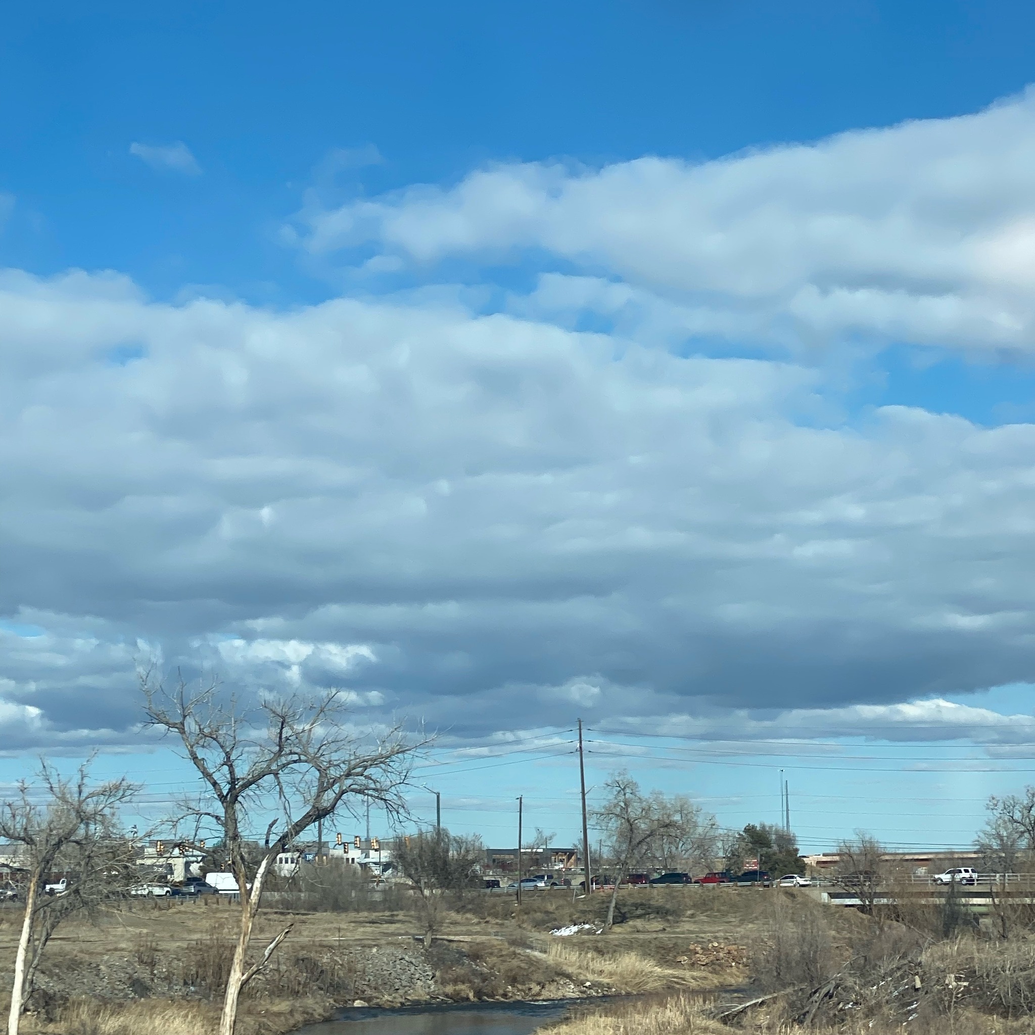 Shop Colorado Farms & Ranch | Any good leads on grain finish beef ...