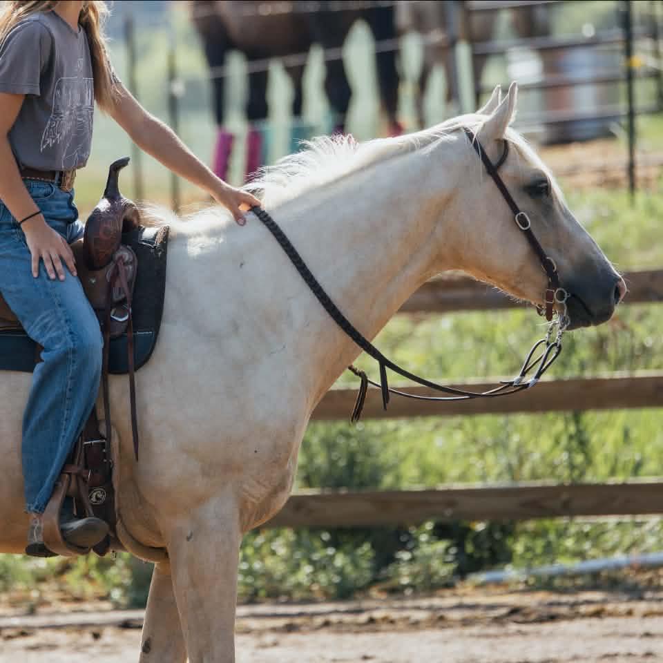 KTF Ranch | Elko MN