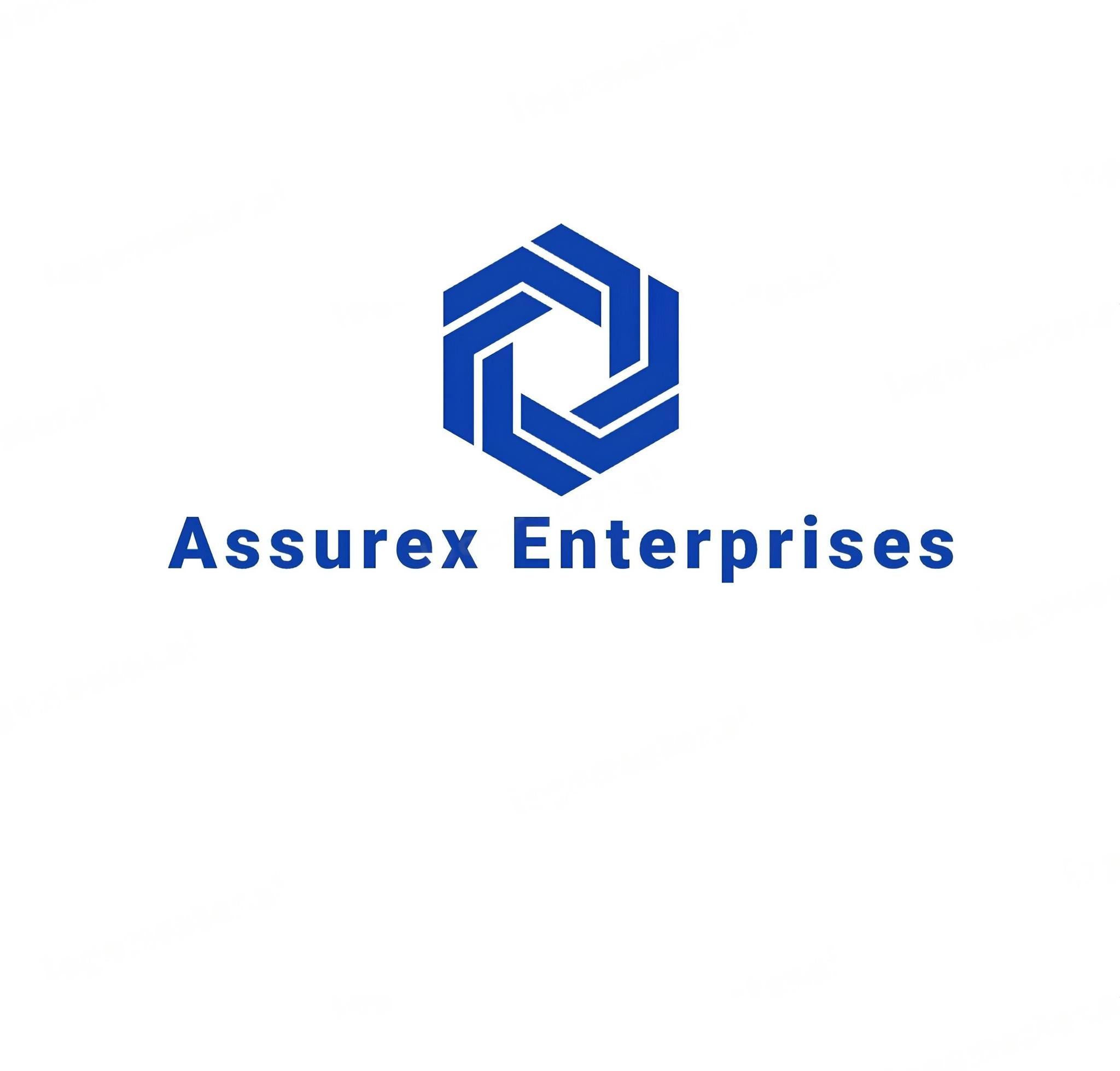 Assurex Enter Prises