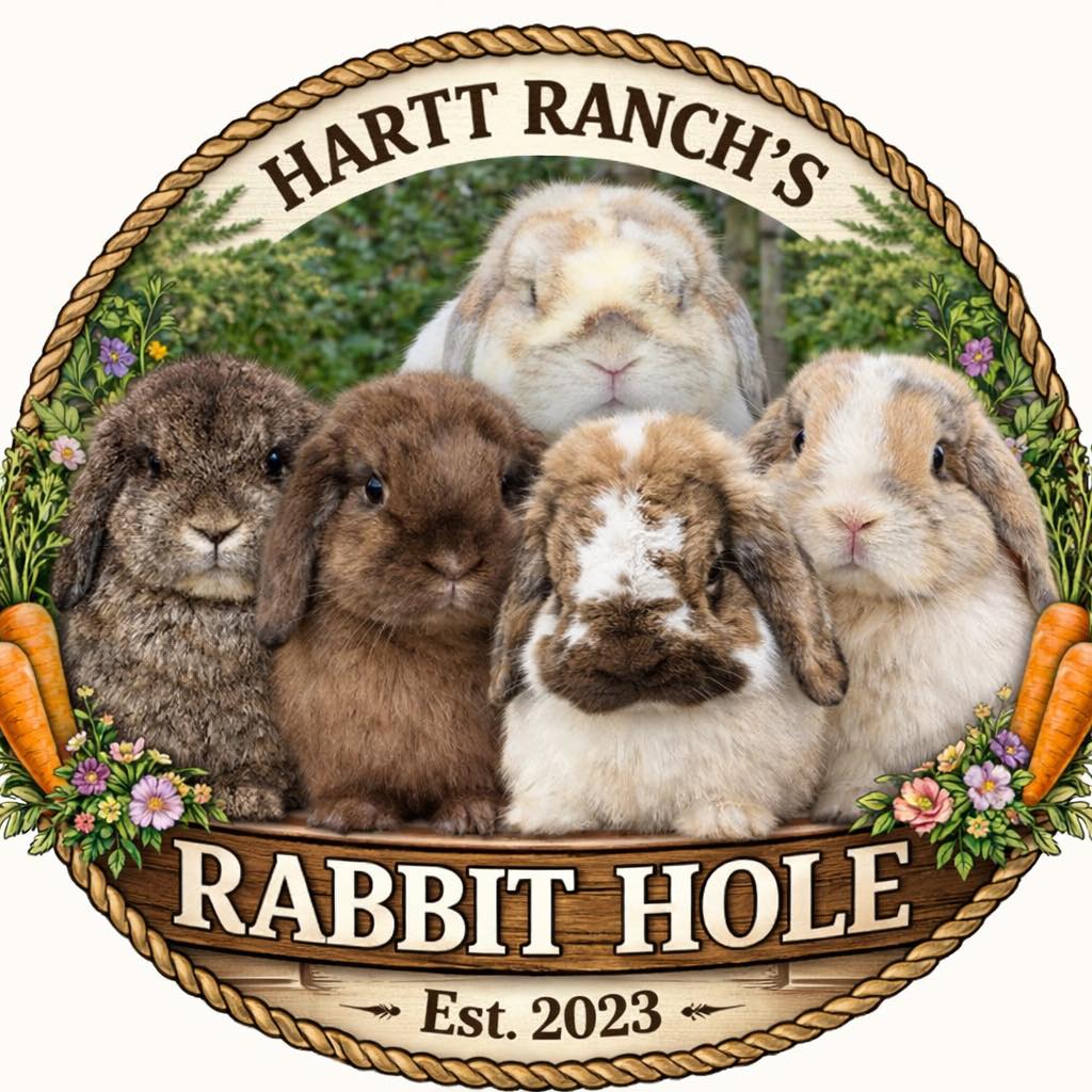 Hartt Ranch’s Rabbit Hole | Weatherford TX