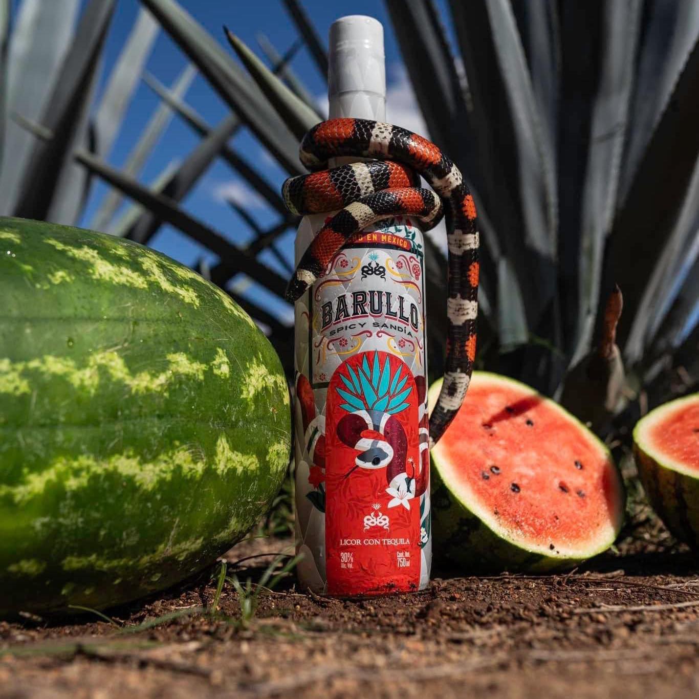 Barullo tequila Jalisco | Tequila
