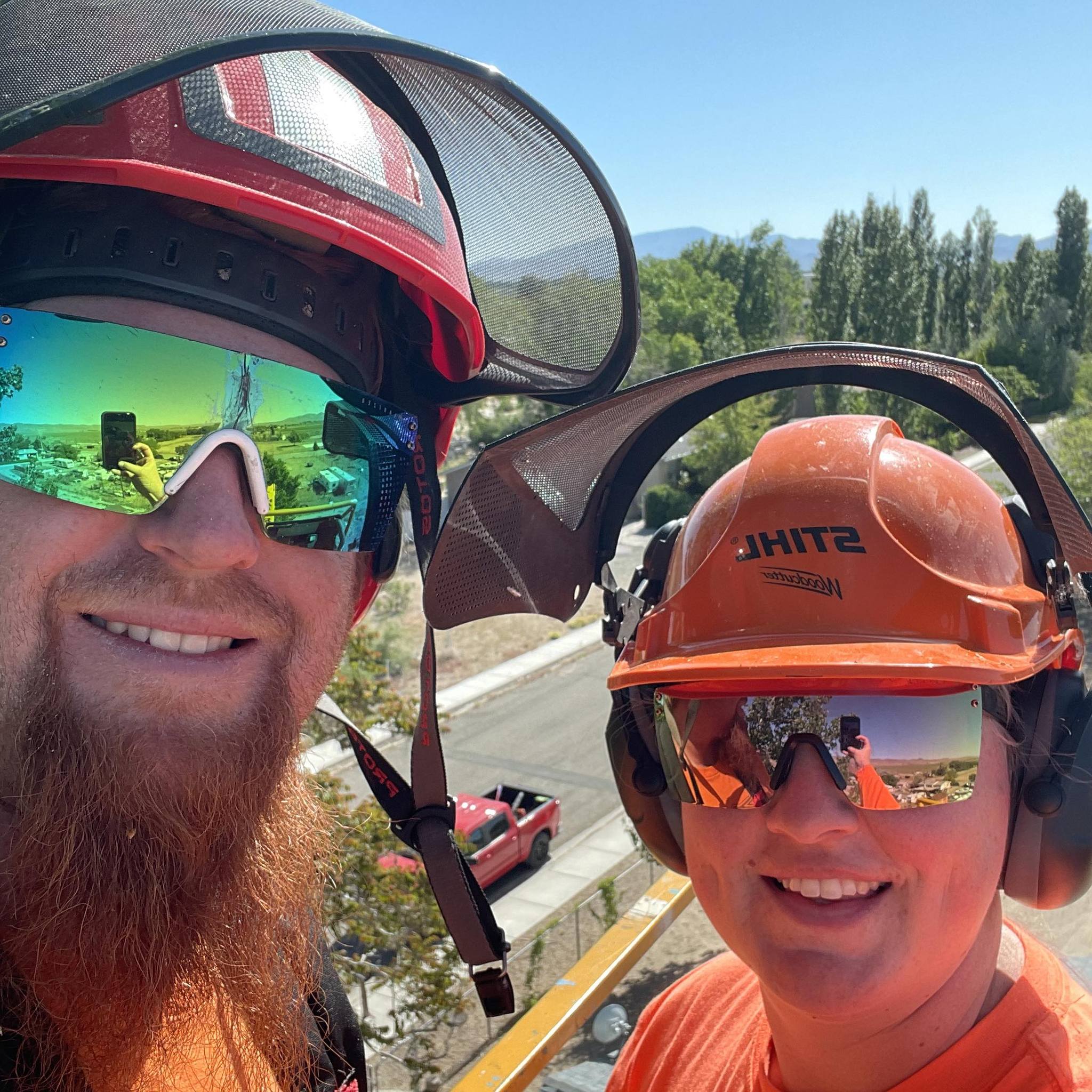 Patterson Tree Care LLC | Yerington NV