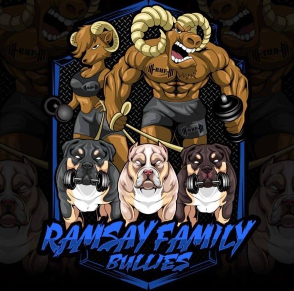 🦏👑🦍 R☆F☆B BOSSY'S MAFIA ️... - Ramsay Family Bullies | Facebook