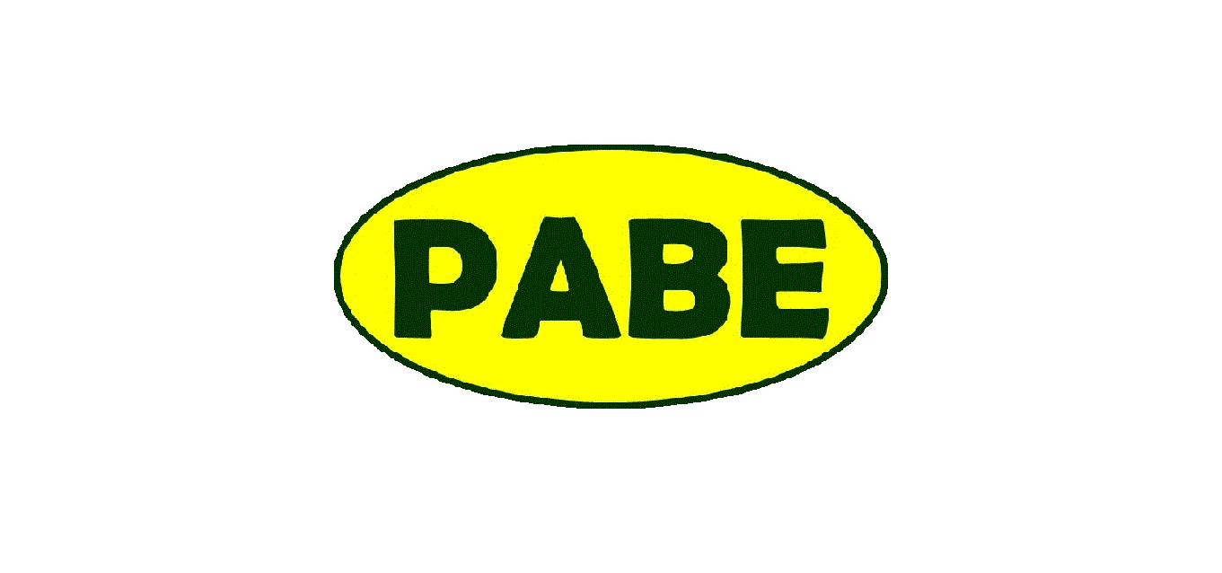 PABE Trucking Services & Heavy Equipment Rental Inc. | Wao
